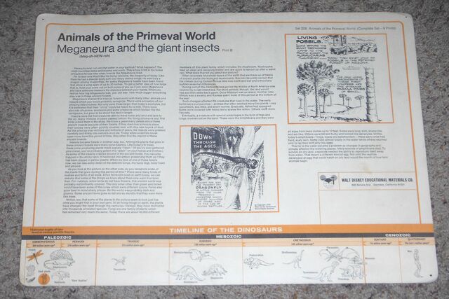 File:Primeval World Meganeura card back.jpg