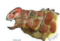 Latirhinus uitstlani by teratophoneus-d5mwxxj