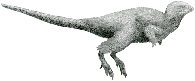 File:Kulindadromeus by Tom Parker.png