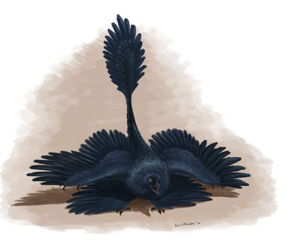 File:Microraptor-threat-display.jpg