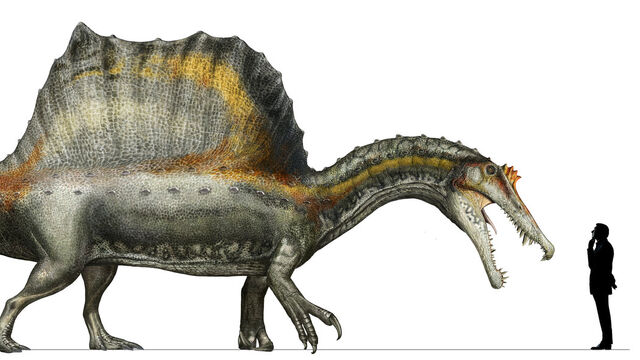 File:Newspinosaurus.jpg