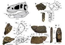 Nanuqsaurus2