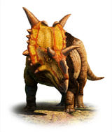 XenoceratopsJC