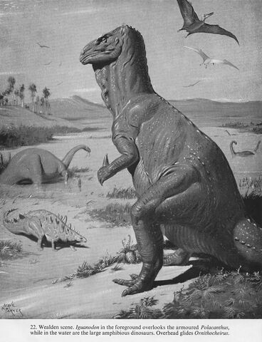 File:Neave Parker iguanodon.jpg