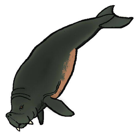 File:Rytiodus.jpg