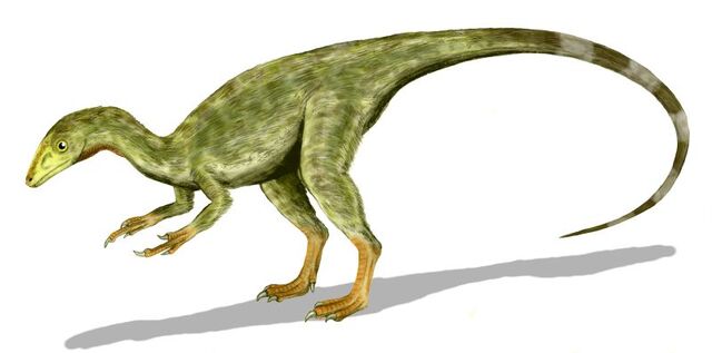 File:Compsognathus BW4.jpg