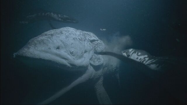 File:SM1x3 Liopleurodon 45.jpg