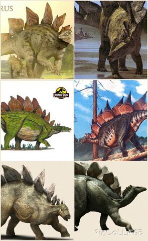 File:Stegosaurus.jpg