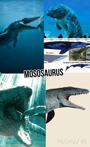 File:Mososaurus.jpg