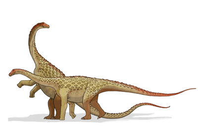 Dino-pals