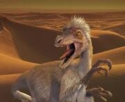 Velociraptor