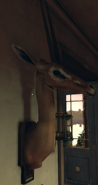 Gazela.png