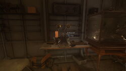 Anton Sokolov's Abduction