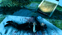 Jessamine dead void kod