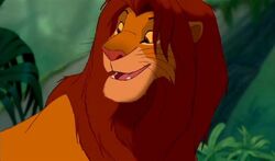Simba grown up
