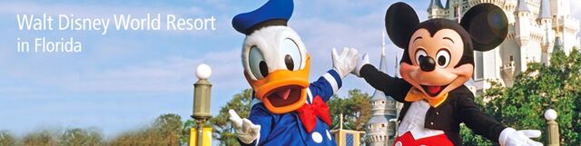 File:Disneyworld-orlando-980x246.jpg