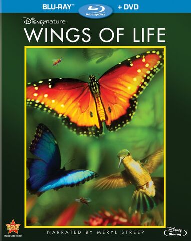 File:WingsofLife Bluray.jpg