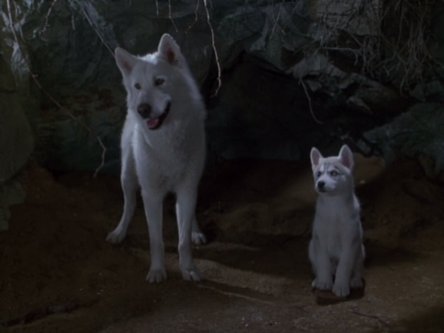 File:Raksha & Lil Raksha JBMS.png