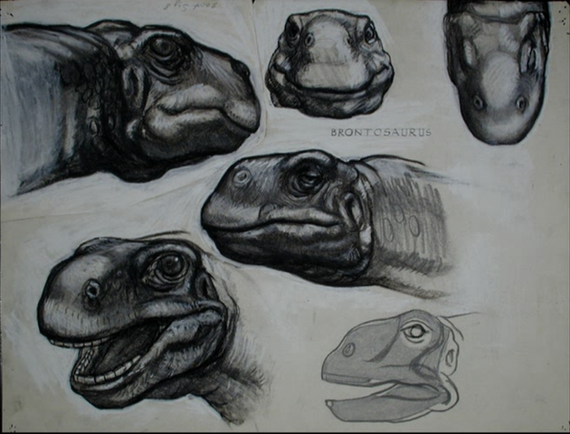 File:Bronto-model-sheet.png