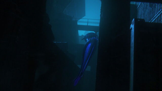 File:Finding-dory-disneyscreencaps com-2105.jpg