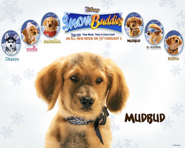 File:Snow buddies mudbud.jpg