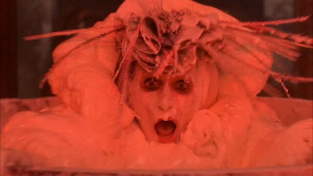 File:102-dalmatians-disneyscreencaps.com-10063.jpg