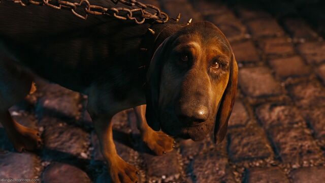 File:Alice-disneyscreencaps com-3204.jpg