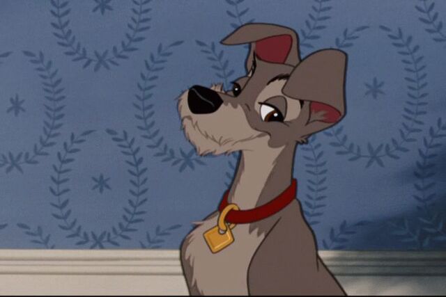 File:Ladyandthetramp931.jpg