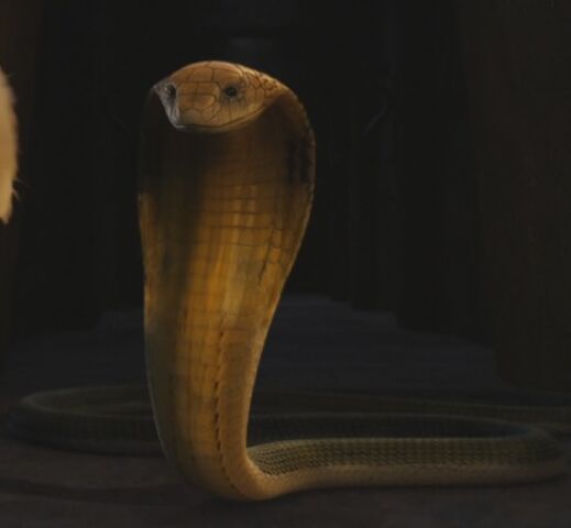 File:Slither.jpg