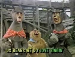 Countrybearsdisneylandfun