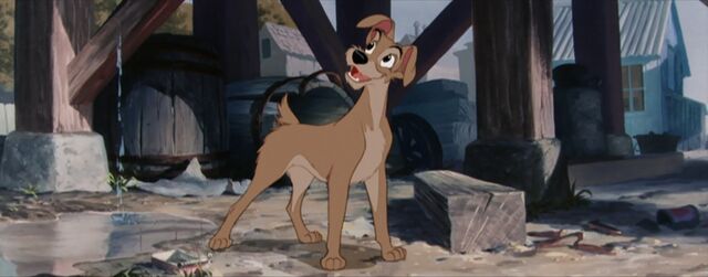 File:Tramp-disneyscreencaps.com-1487.jpg