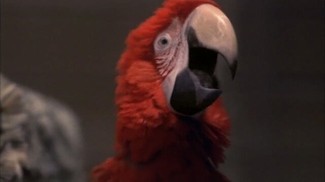 File:102-dalmatians-disneyscreencaps com-8337.jpg