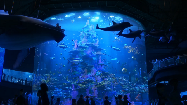 File:Finding Dory 41.png