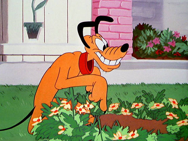 File:Tumblr m0msnsTfoe1r3jmn6o3 1280.png