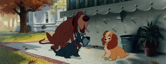 File:Ladyandthetramp235.jpg