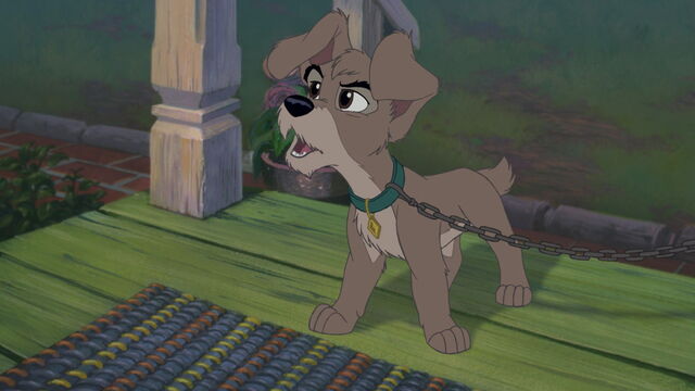 File:Lady-tramp-2-disneyscreencaps.com-1456.jpg