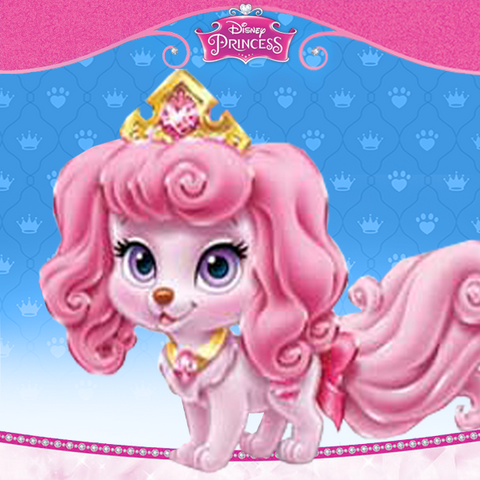 File:PP - Macaron.png