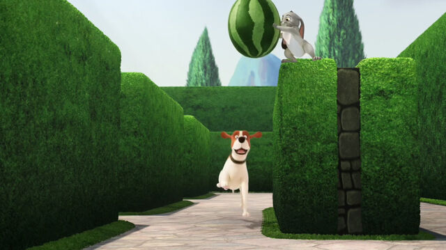 File:When You Wish Upon a Well 38.jpg