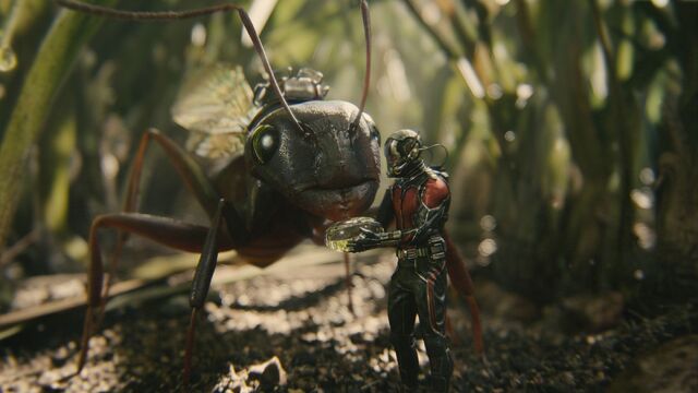File:Ant-Man (film) 90.jpg