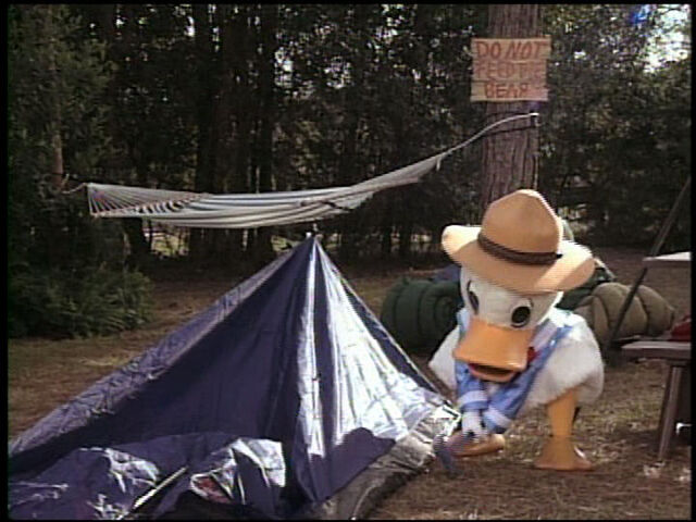 File:DonaldDuckinCampoutatWaltDisneyWorld.jpg
