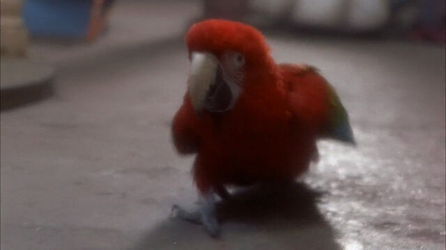 File:102-dalmatians-disneyscreencaps com-975.jpg