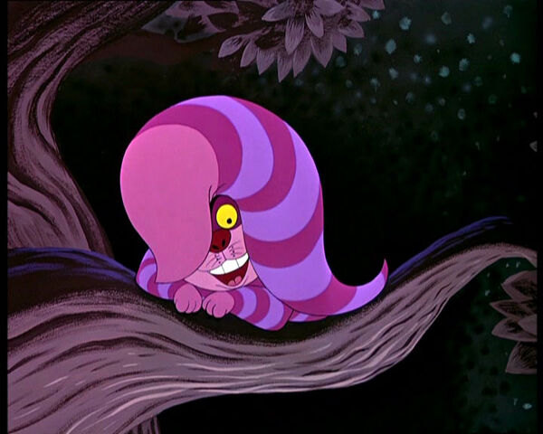 File:Cheshire-cat-6.jpg