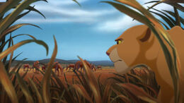 Lion-king2-disneyscreencaps.com-3763.jpg