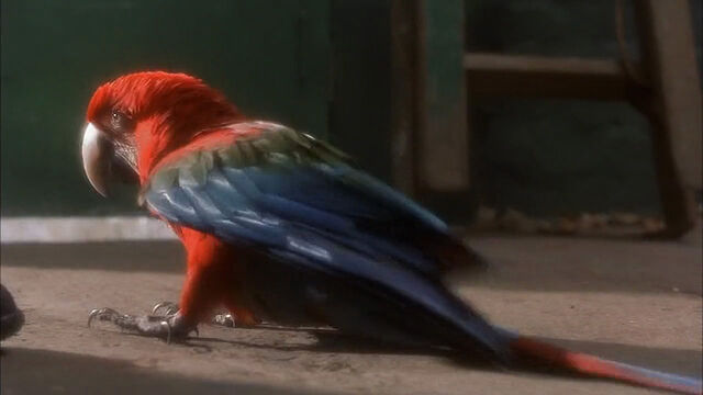 File:102-dalmatians-disneyscreencaps com-1087.jpg