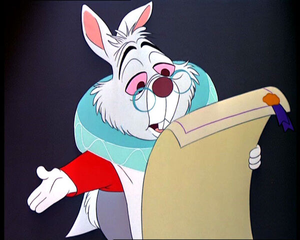 File:White-rabbit-3.jpg