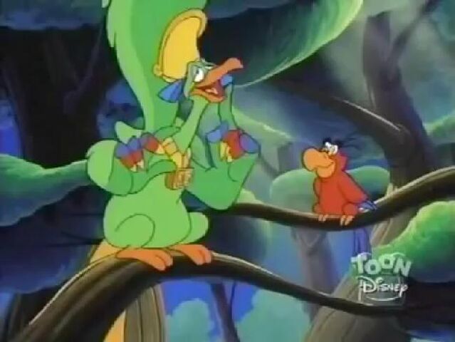 File:Coocoobird.jpg