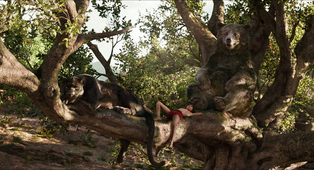 File:Jungle-book-2016-disneyscreencaps.com-11397.jpg
