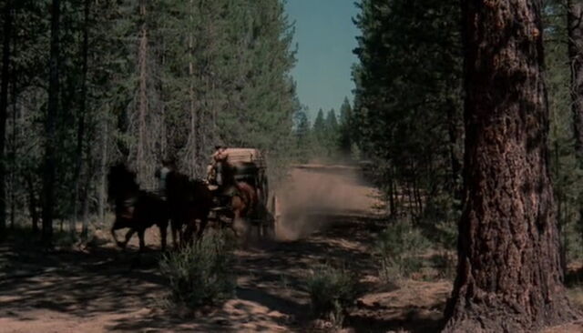 File:Apple-dumpling-gang-disneyscreencaps.com-639.jpg