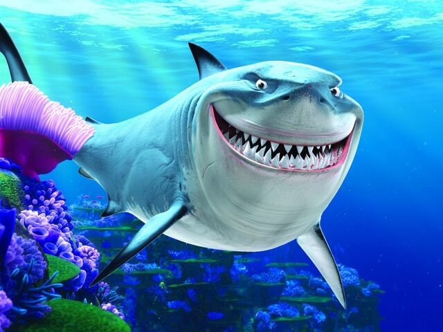 File:Finding Nemo(21).jpg