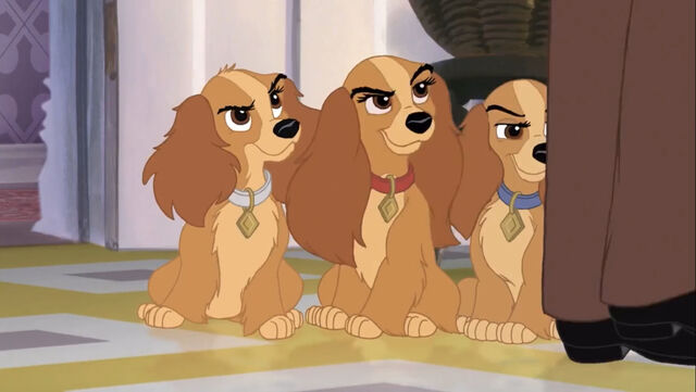 File:Tramp2-disneyscreencaps.com-470.jpg